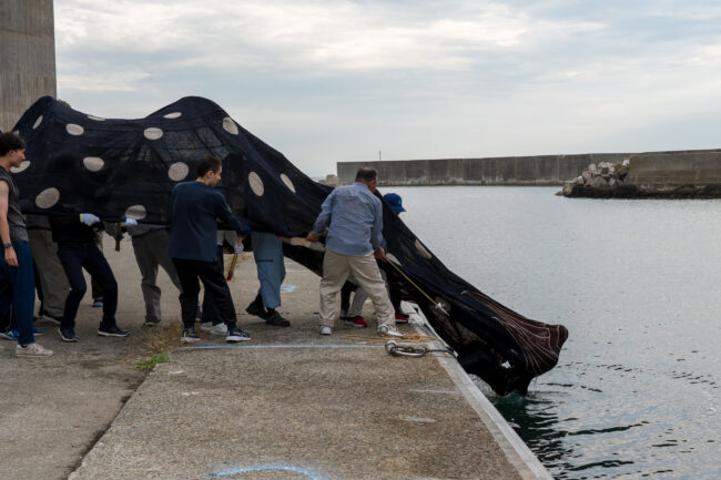 沢崎まつりの大獅子